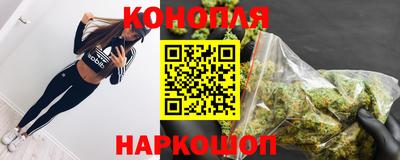 дживик Будённовск